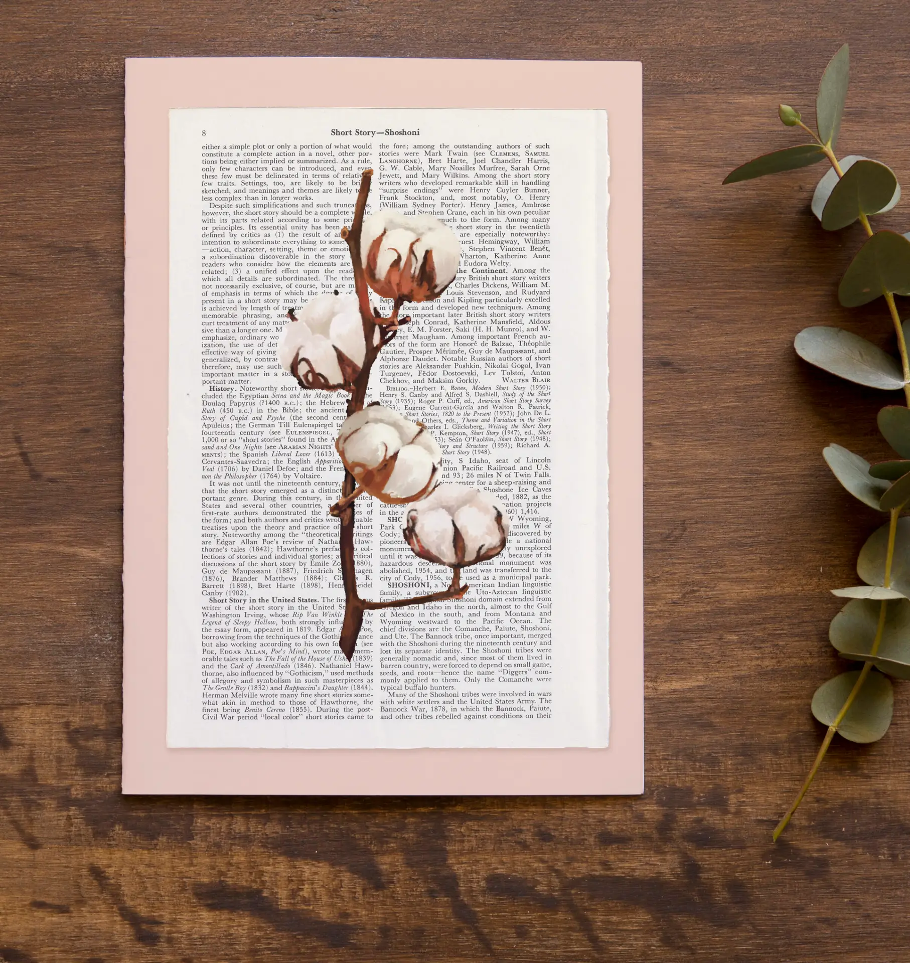 Botanische Illustration eines Baumwollzweiges mit flauschigen Blüten, gedruckt auf einer vergilbten Buchseite. Dekoriert auf einem Holzuntergrund mit Eukalyptuszweig.