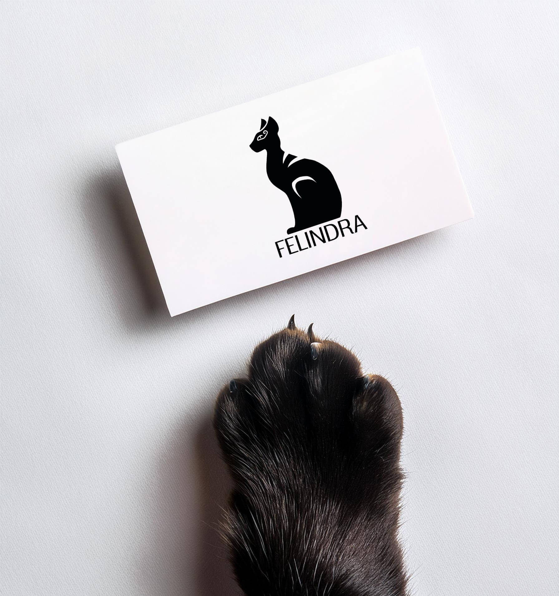 Eine weiße Visitenkarte mit dem schwarzen Felindra-Logo (eine stilisierte, sitzende Katze) liegt auf einem weißen Untergrund. Von unten ragt eine dunkle, flauschige Katzenpfote mit sichtbaren Krallen ins Bild und zeigt auf die Karte.