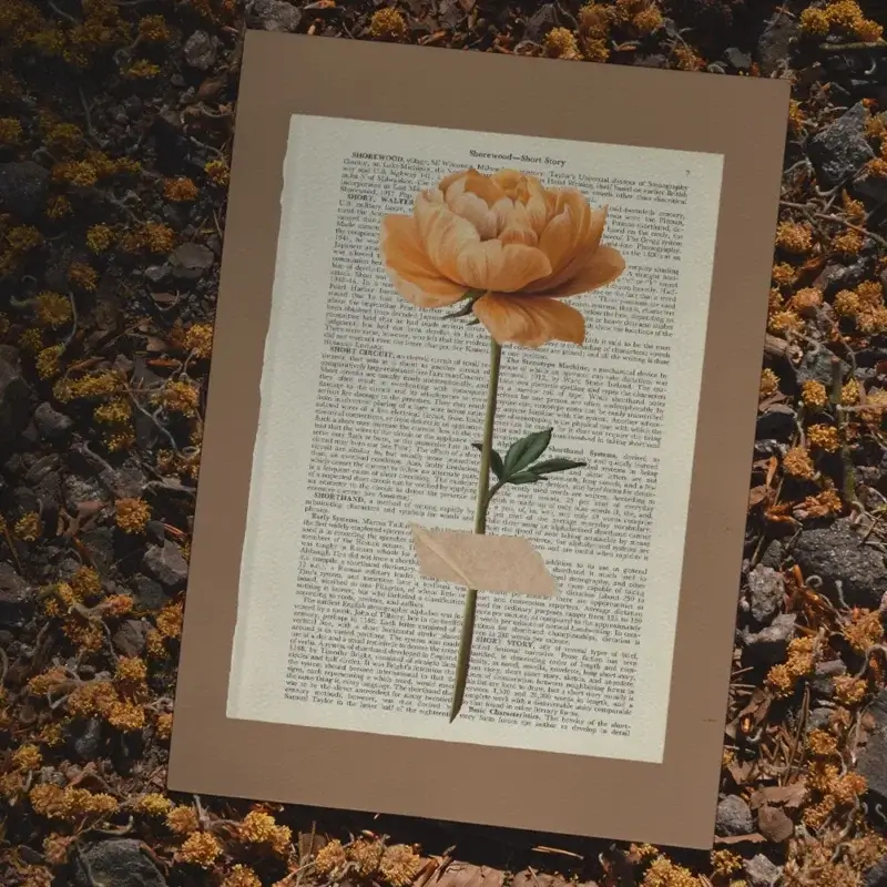 Kunstdruck: Naturstudie No.1 - Pfingstrose
