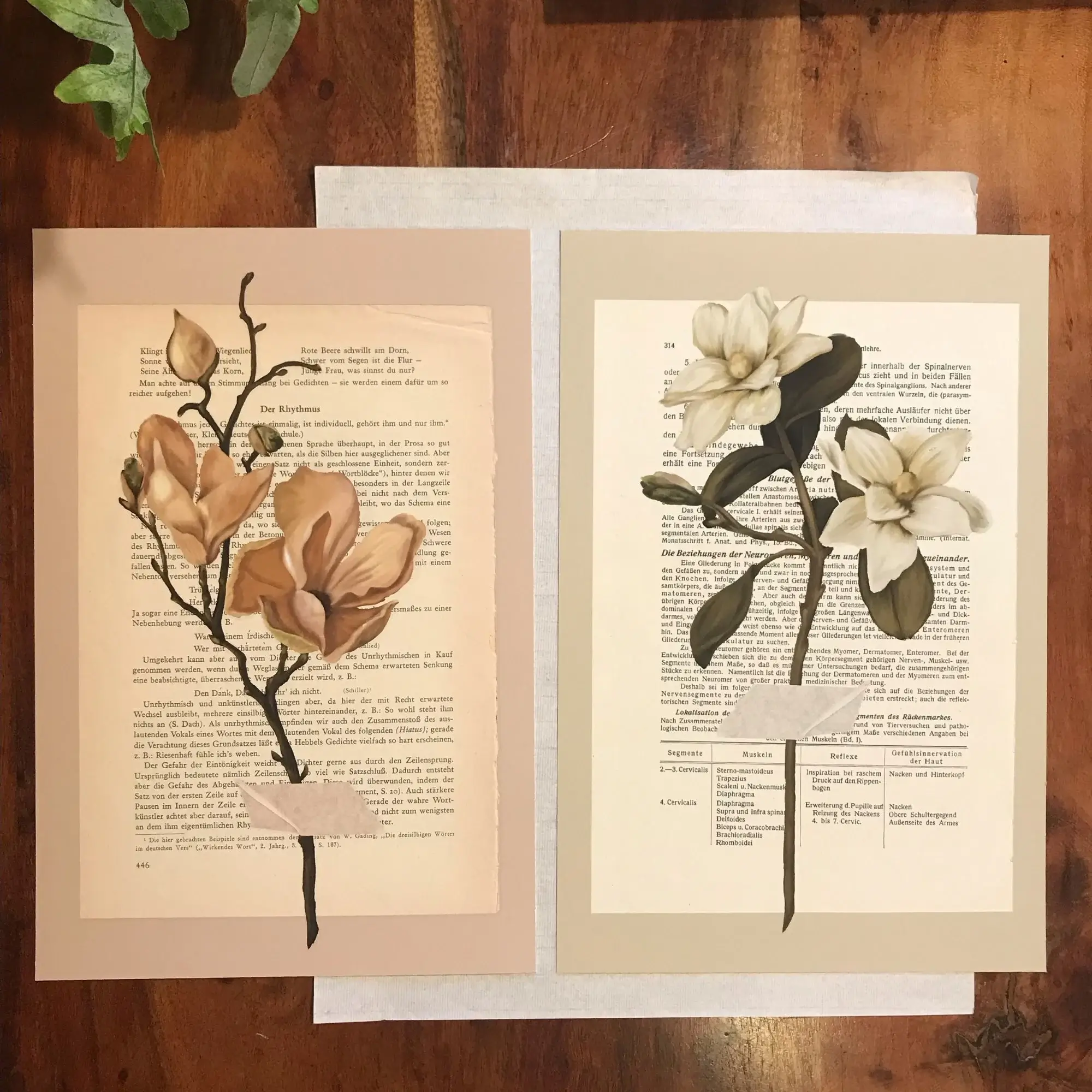 moderne wandbilder blumen, blumen poster vintage, vintage blumen, kunst auf buchseiten, kunstdruck buchseiten, handgezeichnete blumen, botanik wandbild, minimalistische naturposter, geschenk für buchliebhaber