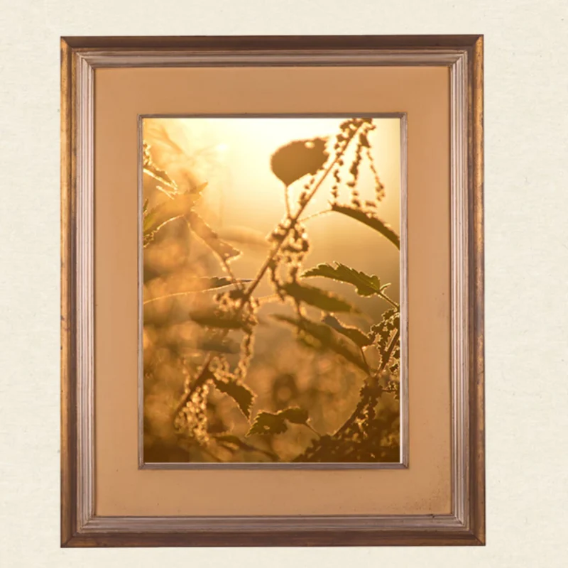 Wandkunst Natur, Fine Art Print, Fotografie Print, Hahnemühle Bamboo, nachhaltige Kunst, Naturposter, Wanddekoration modern, botanische Kunst, minimalistisches Wandbild, Zen Bild, Wohndekoration Natur, Geschenk für Naturliebhaber, Galeriequalität, Kunstfotografie, Interieur Design Kunst, Wandbild Wohnzimmer, Wanddeko Schlafzimmer, Naturmotive Wandkunst.