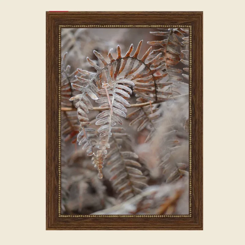 Kunstdruck: Yūgen Naturfotografie No. 4 – Farn