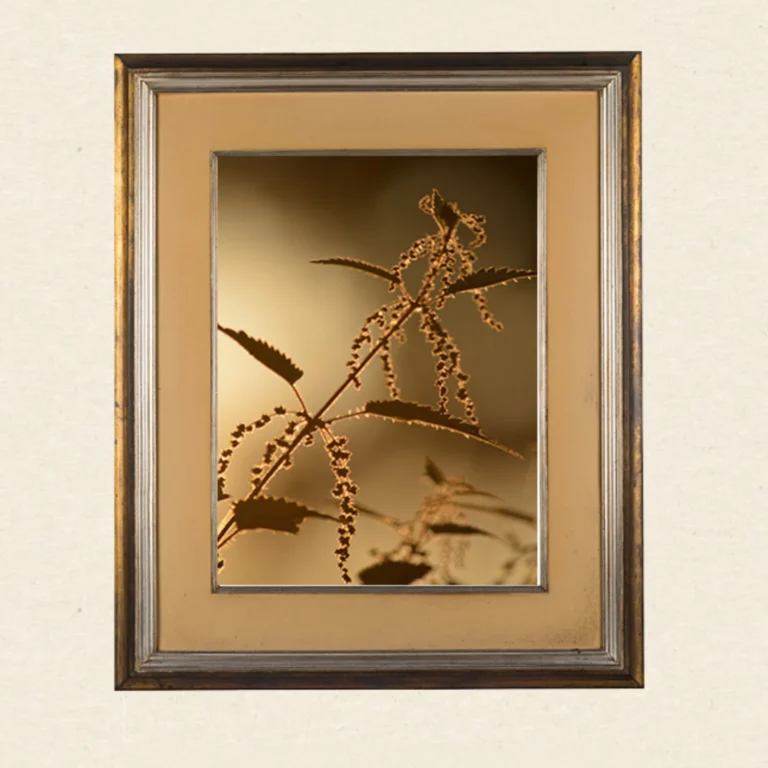 Wandkunst Natur, Fine Art Print, Fotografie Print, Hahnemühle Bamboo, nachhaltige Kunst, Naturposter, Wanddekoration modern, botanische Kunst, minimalistisches Wandbild, Zen Bild, Wohndekoration Natur, Geschenk für Naturliebhaber, Galeriequalität, Kunstfotografie, Interieur Design Kunst, Wandbild Wohnzimmer, Wanddeko Schlafzimmer, Naturmotive Wandkunst.