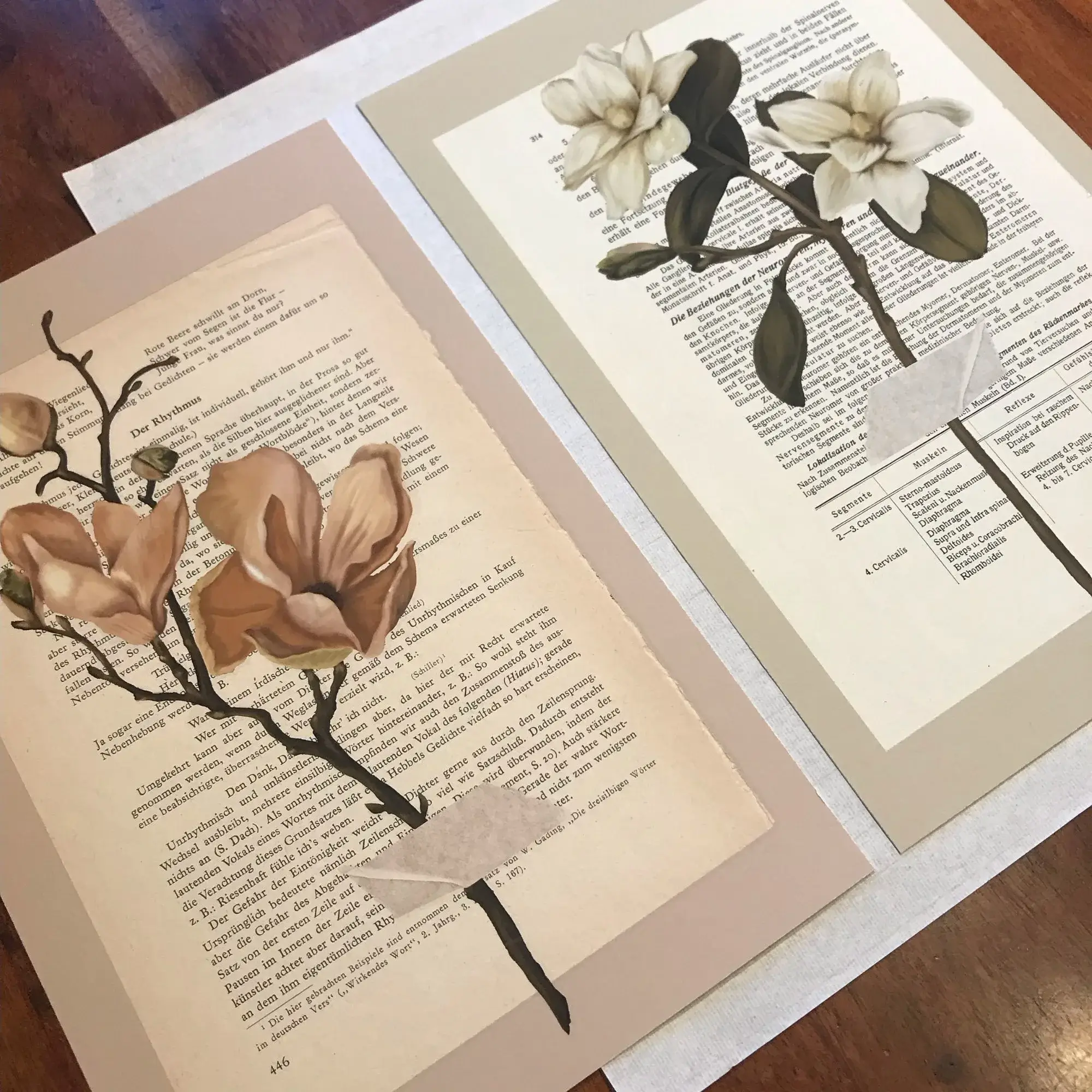 moderne wandbilder blumen, blumen poster vintage, vintage blumen, kunst auf buchseiten, kunstdruck buchseiten, handgezeichnete blumen, botanik wandbild, minimalistische naturposter, geschenk für buchliebhaber