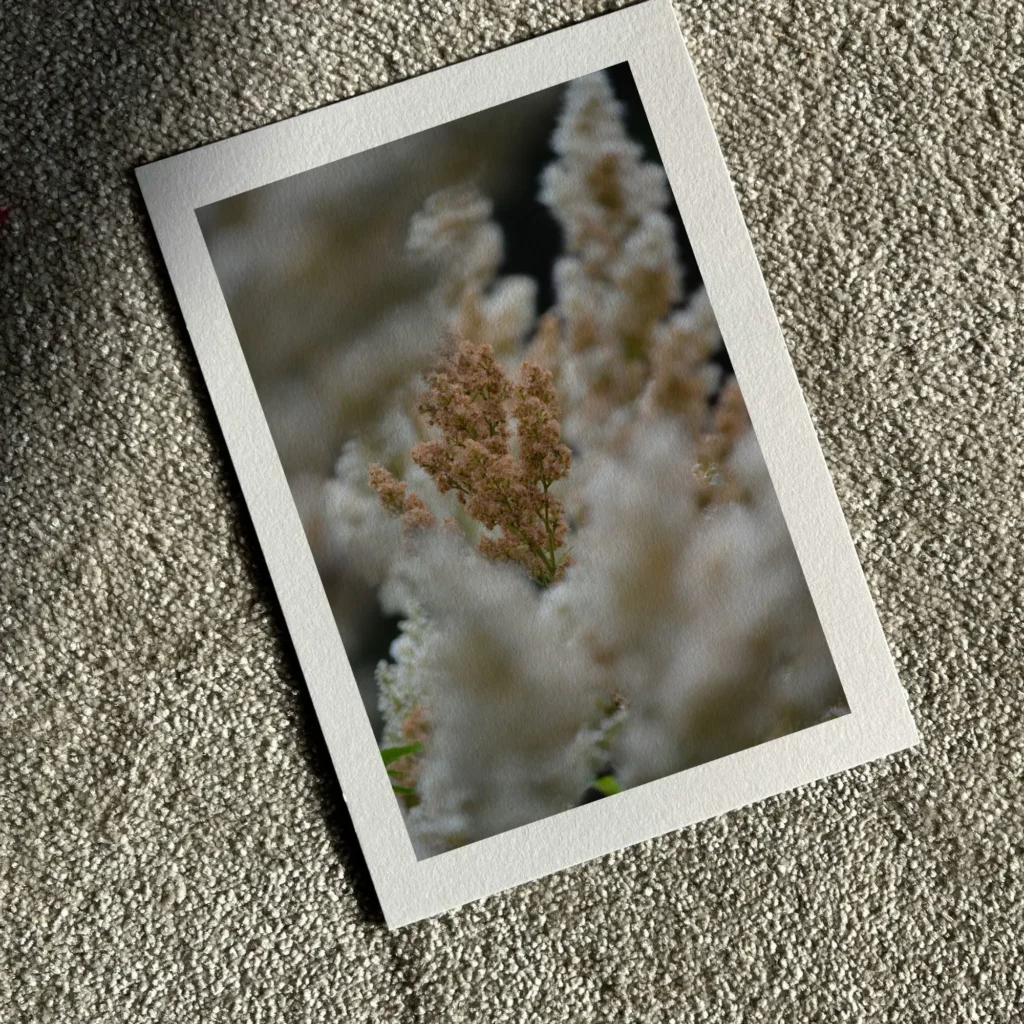 Wandkunst Natur, Fine Art Print, Fotografie Print, Hahnemühle Bamboo, nachhaltige Kunst, Naturposter, Wanddekoration modern, botanische Kunst, minimalistisches Wandbild, Zen Bild, Wohndekoration Natur, Geschenk für Naturliebhaber, Galeriequalität, Kunstfotografie, Interieur Design Kunst, Wandbild Wohnzimmer, Wanddeko Schlafzimmer, Naturmotive Wandkunst.