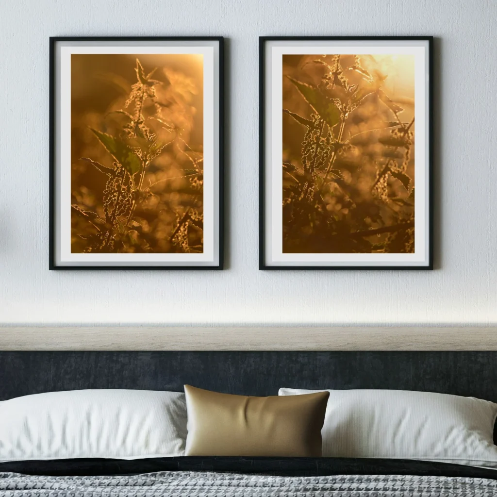 Wandkunst Natur, Fine Art Print, Fotografie Print, Hahnemühle Bamboo, nachhaltige Kunst, Naturposter, Wanddekoration modern, botanische Kunst, minimalistisches Wandbild, Zen Bild, Wohndekoration Natur, Geschenk für Naturliebhaber, Galeriequalität, Kunstfotografie, Interieur Design Kunst, Wandbild Wohnzimmer, Wanddeko Schlafzimmer, Naturmotive Wandkunst.