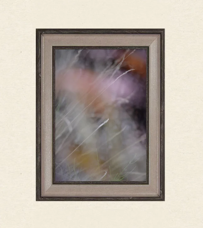 Wandkunst Natur, Fine Art Print, Fotografie Print, Hahnemühle Bamboo, nachhaltige Kunst, Naturposter, Wanddekoration modern, botanische Kunst, minimalistisches Wandbild, Zen Bild, Wohndekoration Natur, Geschenk für Naturliebhaber, Galeriequalität, Kunstfotografie, Interieur Design Kunst, Wandbild Wohnzimmer, Wanddeko Schlafzimmer, Naturmotive Wandkunst.