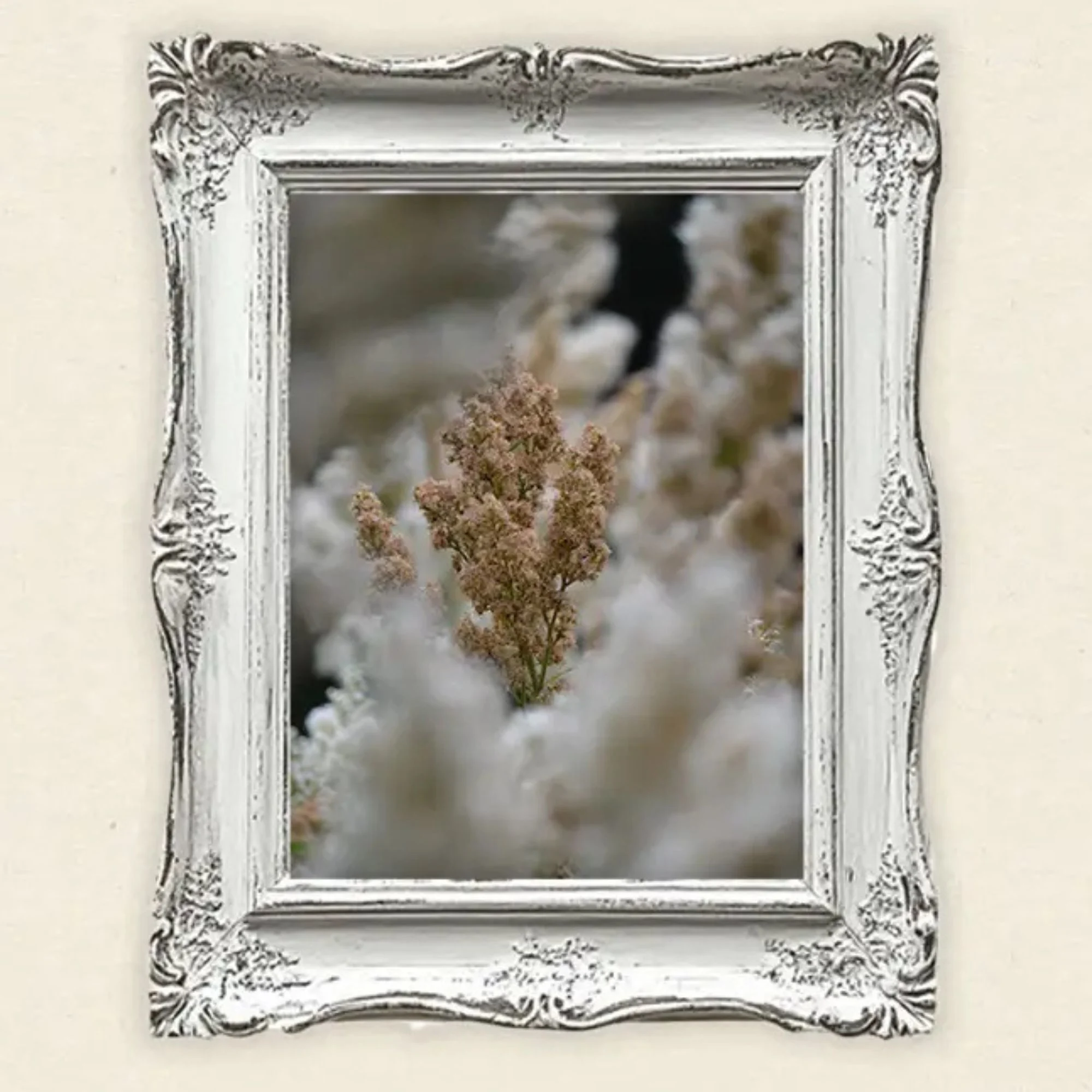 Wandkunst Natur, Fine Art Print, Fotografie Print, Hahnemühle Bamboo, nachhaltige Kunst, Naturposter, Wanddekoration modern, botanische Kunst, minimalistisches Wandbild, Zen Bild, Wohndekoration Natur, Geschenk für Naturliebhaber, Galeriequalität, Kunstfotografie, Interieur Design Kunst, Wandbild Wohnzimmer, Wanddeko Schlafzimmer, Naturmotive Wandkunst.