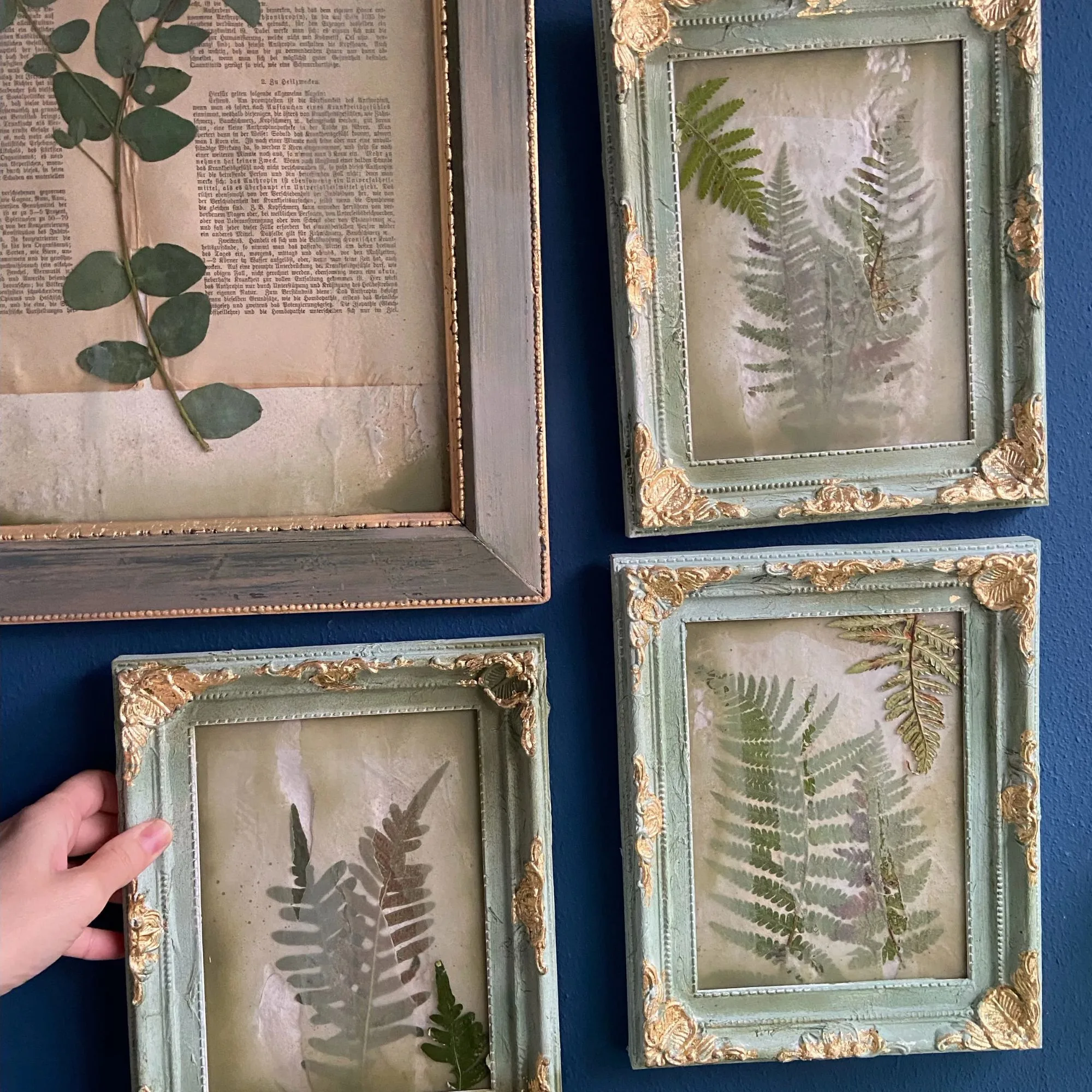 Lost Garden Auftragskunst Botanik auf handgeschöpftem Papier mit Blattgold im antiken Shabby Chic Rahmen. (2)