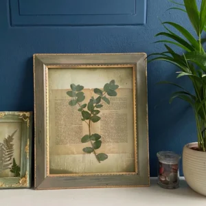 Lost Garden Auftragskunst Botanik auf handgeschöpftem Papier mit Blattgold im antiken Shabby Chic Rahmen. (2)