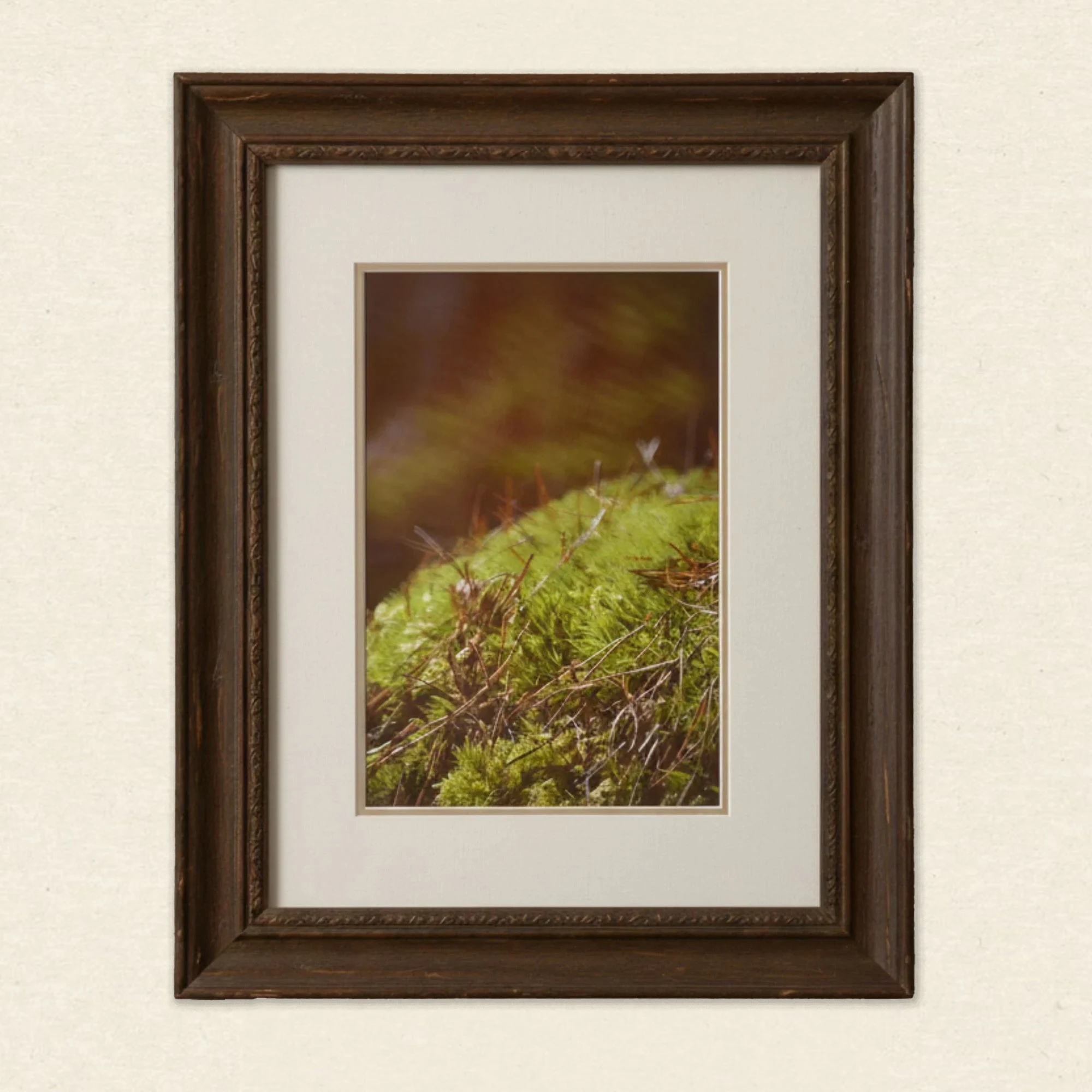 Wandkunst Natur, Fine Art Print, Fotografie Print, Hahnemühle Bamboo, nachhaltige Kunst, Naturposter, Wanddekoration modern, botanische Kunst, minimalistisches Wandbild, Zen Bild, Wohndekoration Natur, Geschenk für Naturliebhaber, Galeriequalität, Kunstfotografie, Interieur Design Kunst, Wandbild Wohnzimmer, Wanddeko Schlafzimmer, Naturmotive Wandkunst.