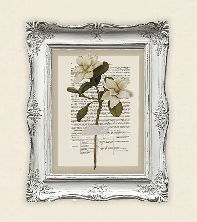 moderne wandbilder blumen, blumen poster vintage, vintage blumen, kunst auf buchseiten, kunstdruck buchseiten, handgezeichnete blumen, botanik wandbild, minimalistische naturposter, geschenk für buchliebhaber