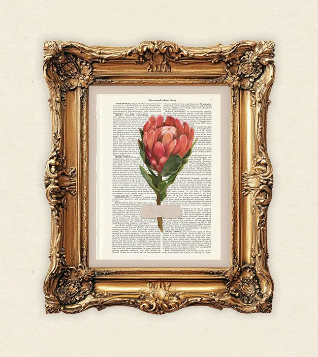 moderne wandbilder blumen, blumen poster vintage, vintage blumen, kunst auf buchseiten, kunstdruck buchseiten, handgezeichnete blumen, botanik wandbild, minimalistische naturposter, geschenk für buchliebhaber