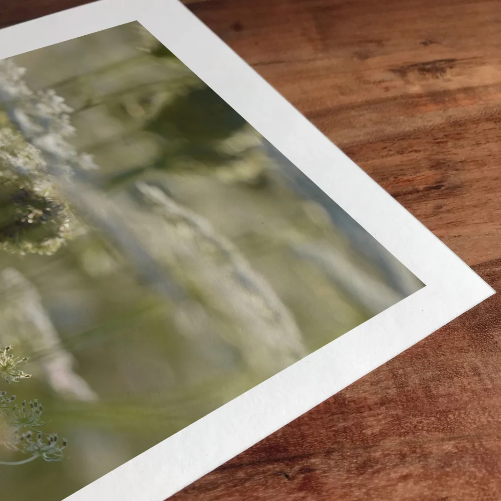 Wandkunst Natur, Fine Art Print, Fotografie Print, Hahnemühle Bamboo, nachhaltige Kunst, Naturposter, Wanddekoration modern, botanische Kunst, minimalistisches Wandbild, Zen Bild, Wohndekoration Natur, Geschenk für Naturliebhaber, Galeriequalität, Kunstfotografie, Interieur Design Kunst, Wandbild Wohnzimmer, Wanddeko Schlafzimmer, Naturmotive Wandkunst.