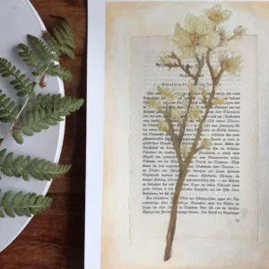 moderne wandbilder blumen, blumen poster vintage, vintage blumen, kunst auf buchseiten, kunstdruck buchseiten, handgezeichnete blumen, botanik wandbild, minimalistische naturposter, geschenk für buchliebhaber