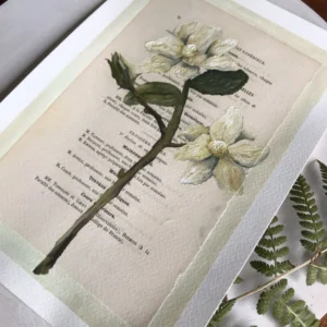 moderne wandbilder blumen, blumen poster vintage, vintage blumen, kunst auf buchseiten, kunstdruck buchseiten, handgezeichnete blumen, botanik wandbild, minimalistische naturposter, geschenk für buchliebhaber