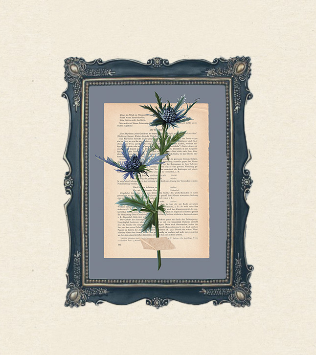 moderne wandbilder blumen, blumen poster vintage, vintage blumen, kunst auf buchseiten, kunstdruck buchseiten, handgezeichnete blumen, botanik wandbild, minimalistische naturposter, geschenk für buchliebhaber