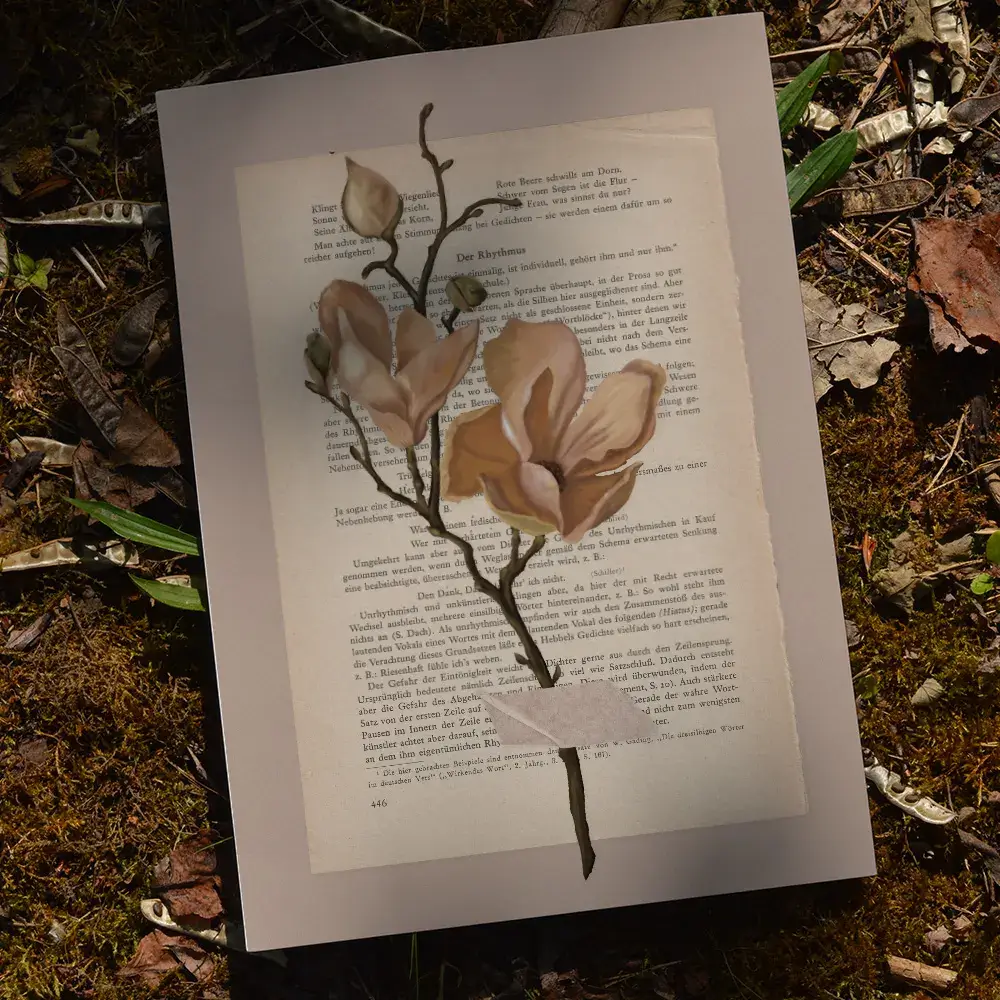 Kunstdruck: Naturstudie No.4 - Rosa Magnolie