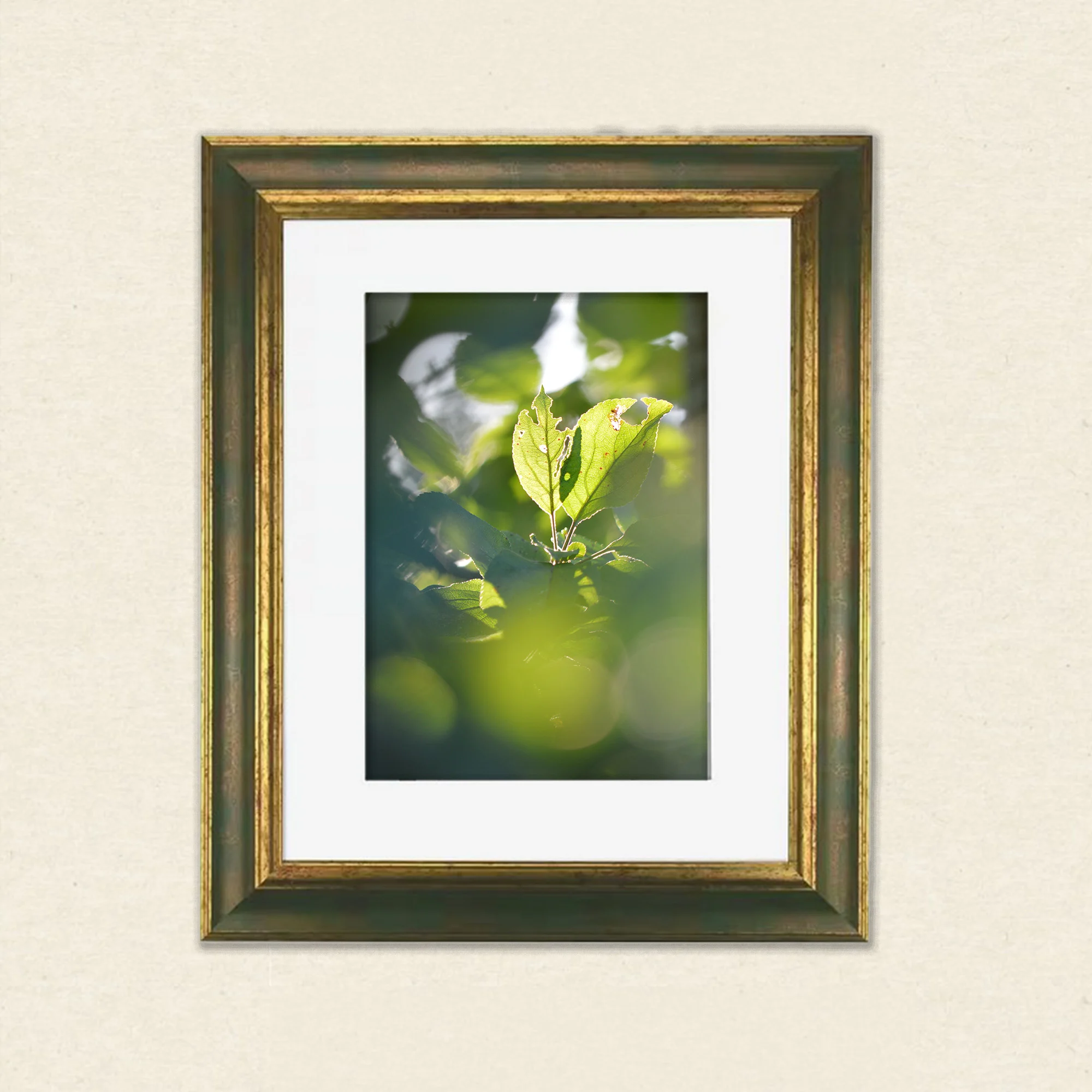 Wandkunst Natur, Fine Art Print, Fotografie Print, Hahnemühle Bamboo, nachhaltige Kunst, Naturposter, Wanddekoration modern, botanische Kunst, minimalistisches Wandbild, Zen Bild, Wohndekoration Natur, Geschenk für Naturliebhaber, Galeriequalität, Kunstfotografie, Interieur Design Kunst, Wandbild Wohnzimmer, Wanddeko Schlafzimmer, Naturmotive Wandkunst.