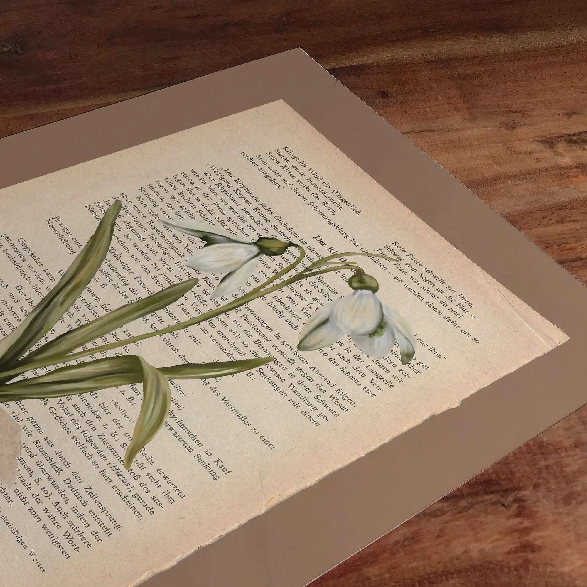 Originalzeichnung, Schneeglöckchen art, Schneeglöckchen druck, Schneeglöckchen wanddeko , Botanischer kunstdruck, Florale wandkunst ,Frühlingsblumen kunst ,Rustikale wanddeko ,Shabby chic dekoration, Botanische kunst geschenk, Frühlings-wanddekoration