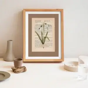 Originalzeichnung, Schneeglöckchen art, Schneeglöckchen druck, Schneeglöckchen wanddeko , Botanischer kunstdruck, Florale wandkunst ,Frühlingsblumen kunst ,Rustikale wanddeko ,Shabby chic dekoration, Botanische kunst geschenk, Frühlings-wanddekoration
