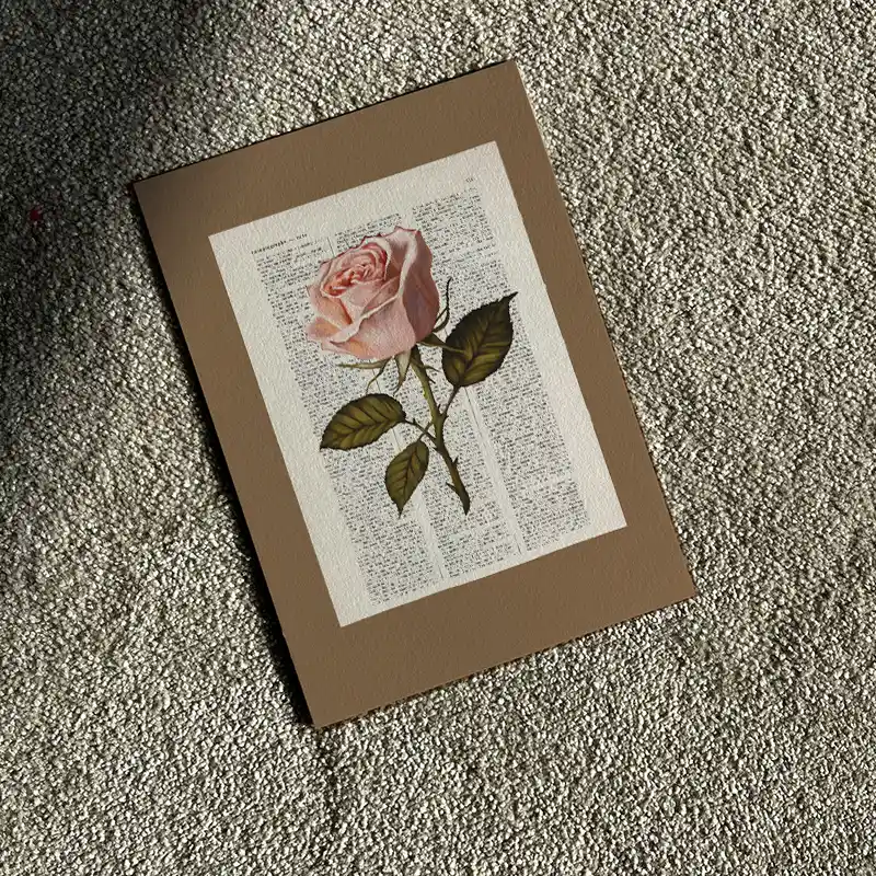 Kunstdruck: Naturstudie No.10 - Rosa Rose – Bild 2
