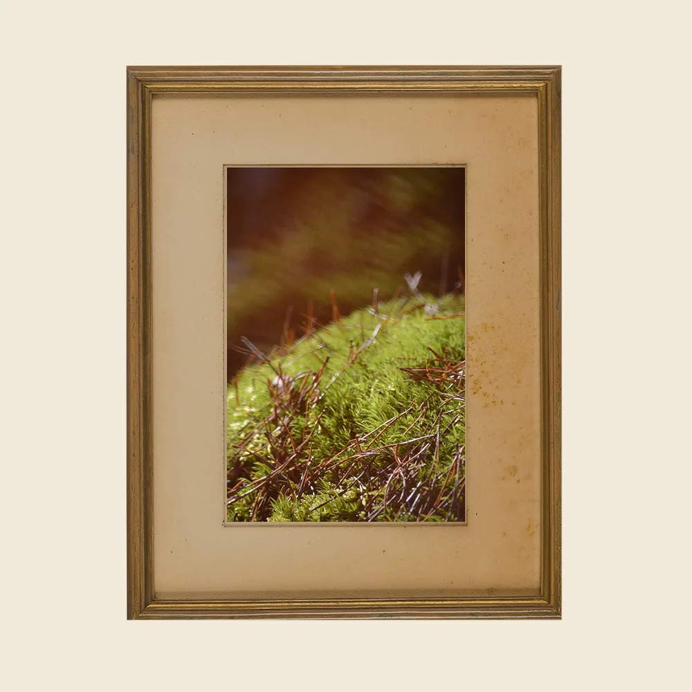 Wandkunst Natur, Fine Art Print, Fotografie Print, Hahnemühle Bamboo, nachhaltige Kunst, Naturposter, Wanddekoration modern, botanische Kunst, minimalistisches Wandbild, Zen Bild, Wohndekoration Natur, Geschenk für Naturliebhaber, Galeriequalität, Kunstfotografie, Interieur Design Kunst, Wandbild Wohnzimmer, Wanddeko Schlafzimmer, Naturmotive Wandkunst.