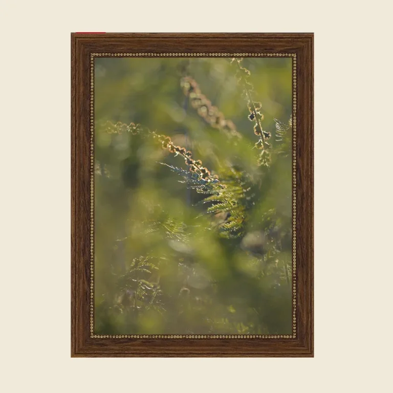 Wandkunst Natur, Fine Art Print, Fotografie Print, Hahnemühle Bamboo, nachhaltige Kunst, Naturposter, Wanddekoration modern, botanische Kunst, minimalistisches Wandbild, Zen Bild, Wohndekoration Natur, Geschenk für Naturliebhaber, Galeriequalität, Kunstfotografie, Interieur Design Kunst, Wandbild Wohnzimmer, Wanddeko Schlafzimmer, Naturmotive Wandkunst.