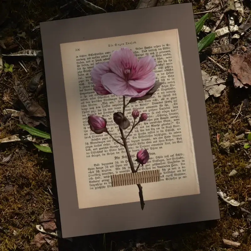 Kunstdruck: Naturstudie No.8 - Mandelblüte