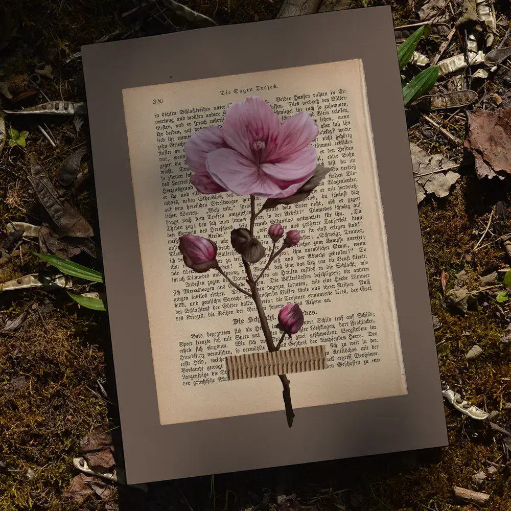 Kunstdruck: Naturstudie No.8 - Mandelblüte
