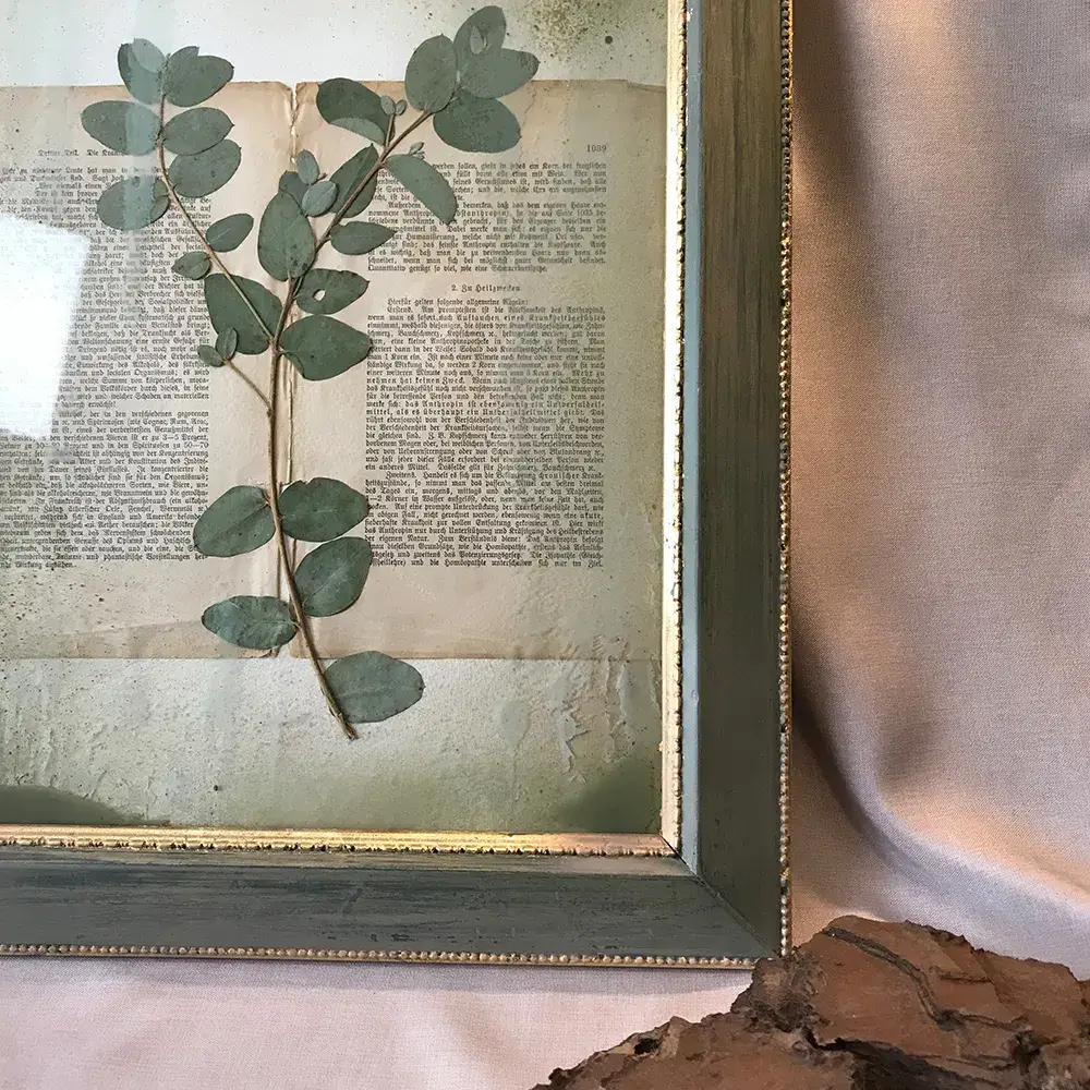 Originalgemälde "Lost Garden" Kollektion: Eukalypthus – Bild 3