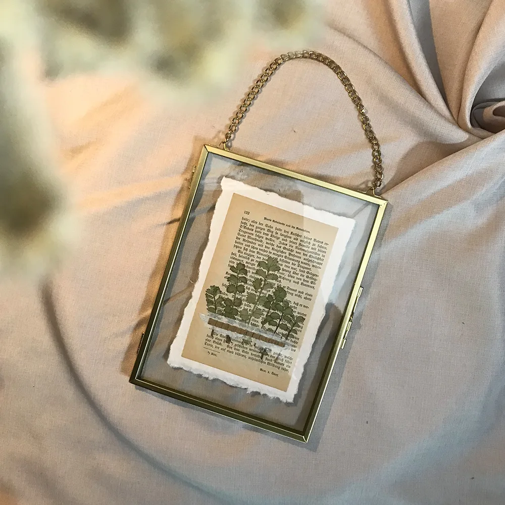Draufsicht auf einen rechteckigen Glas-Bilderrahmen mit Goldkante und goldener Gliederkette, darin eine historische Buchseite mit einer grünen Pflanzenillustration, flach arrangiert auf sanft gefaltetem, beigem Leinenstoff mit weicher Vordergrund-Unschärfe von Trockenblumen