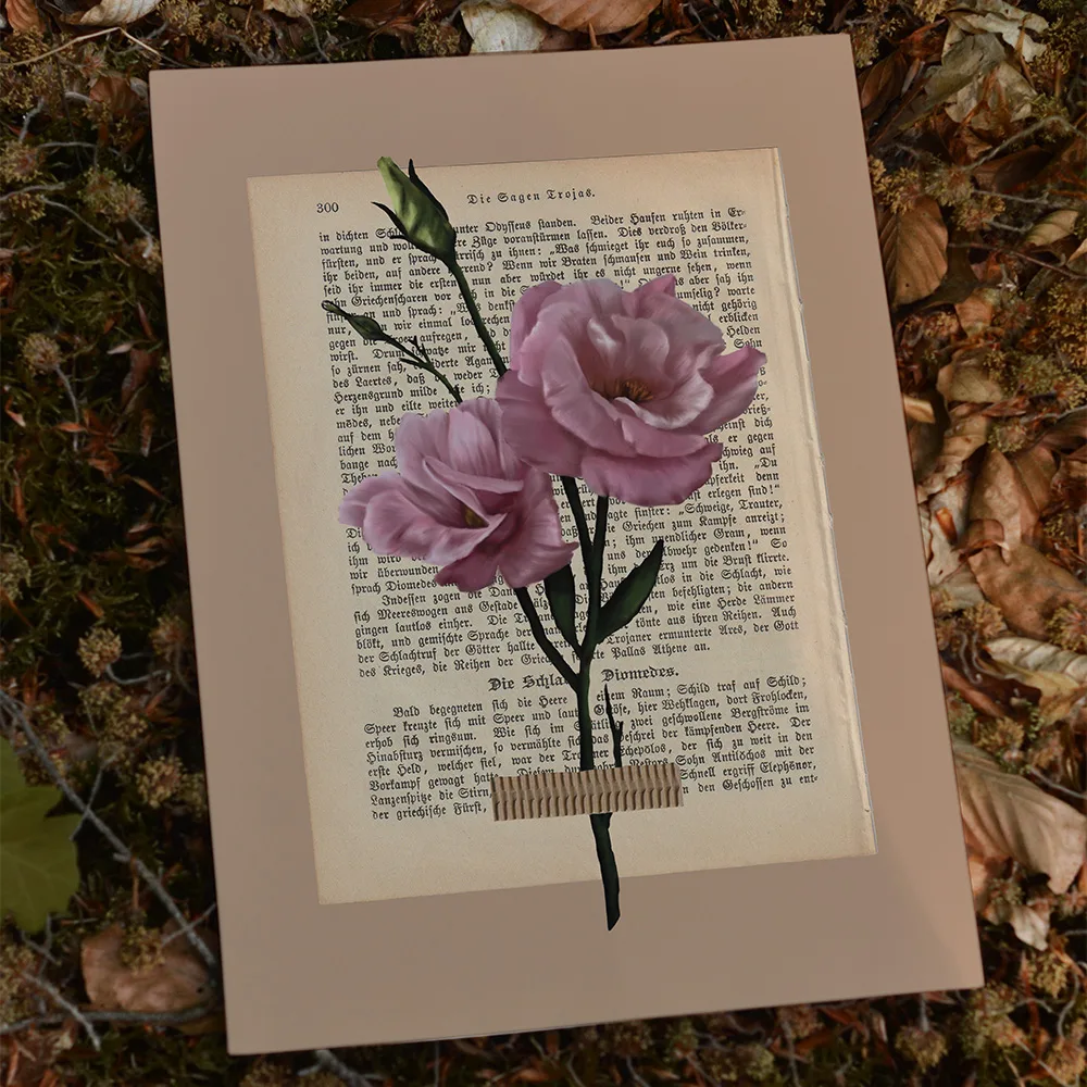 Kunstdruck: Naturstudie No.6 - Lisianthus