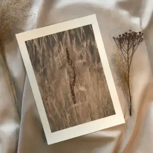 Minimalistischer Kunstdruck mit Passepartout auf strukturiertem Leinenstoff, der eine detailreiche Fotografie von getrocknetem Wildgras im sanften Spätherbstlicht zeigt, flankiert von echten Trockenblumen.