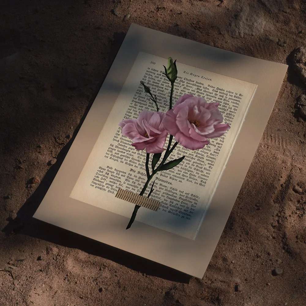 Ein ungerahmter Fine-Art-Kunstdruck einer rosafarbenen Blume auf einer antiken Buchseite, flach liegend auf sandigem, unebenem Waldboden im harten, kontrastreichen Kontrast aus hellem Sonnenlicht und tiefen Schatten.