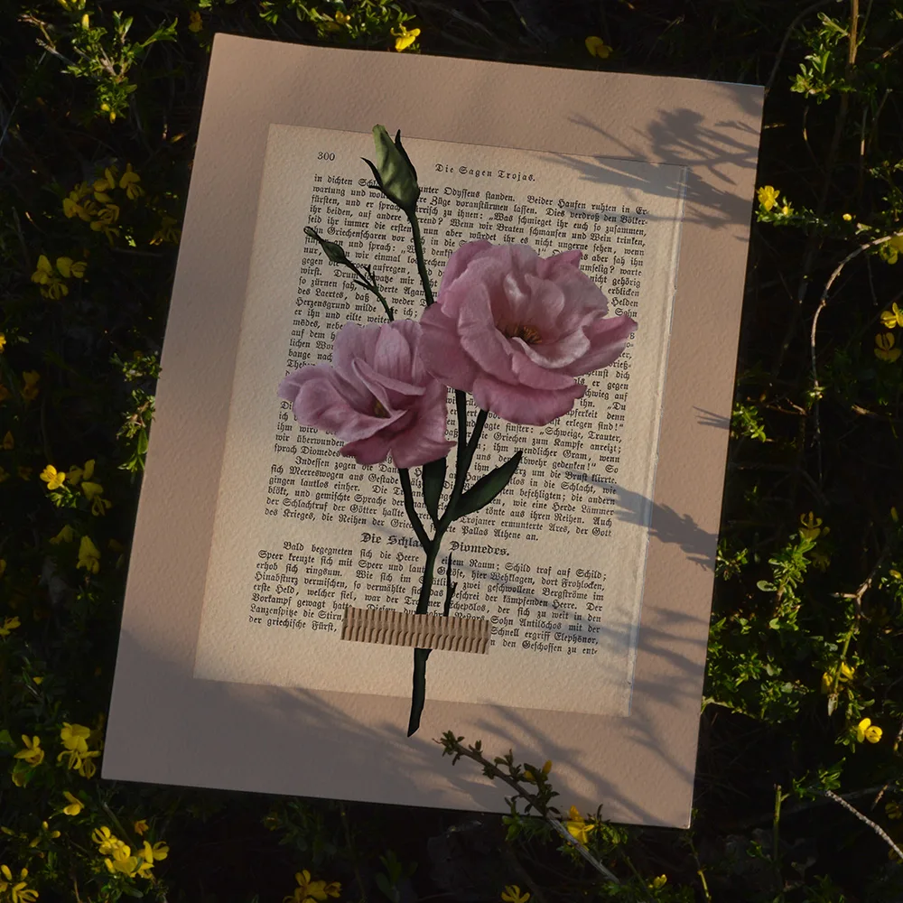 Kunstdruck: Naturstudie No.6 - Lisianthus – Bild 3