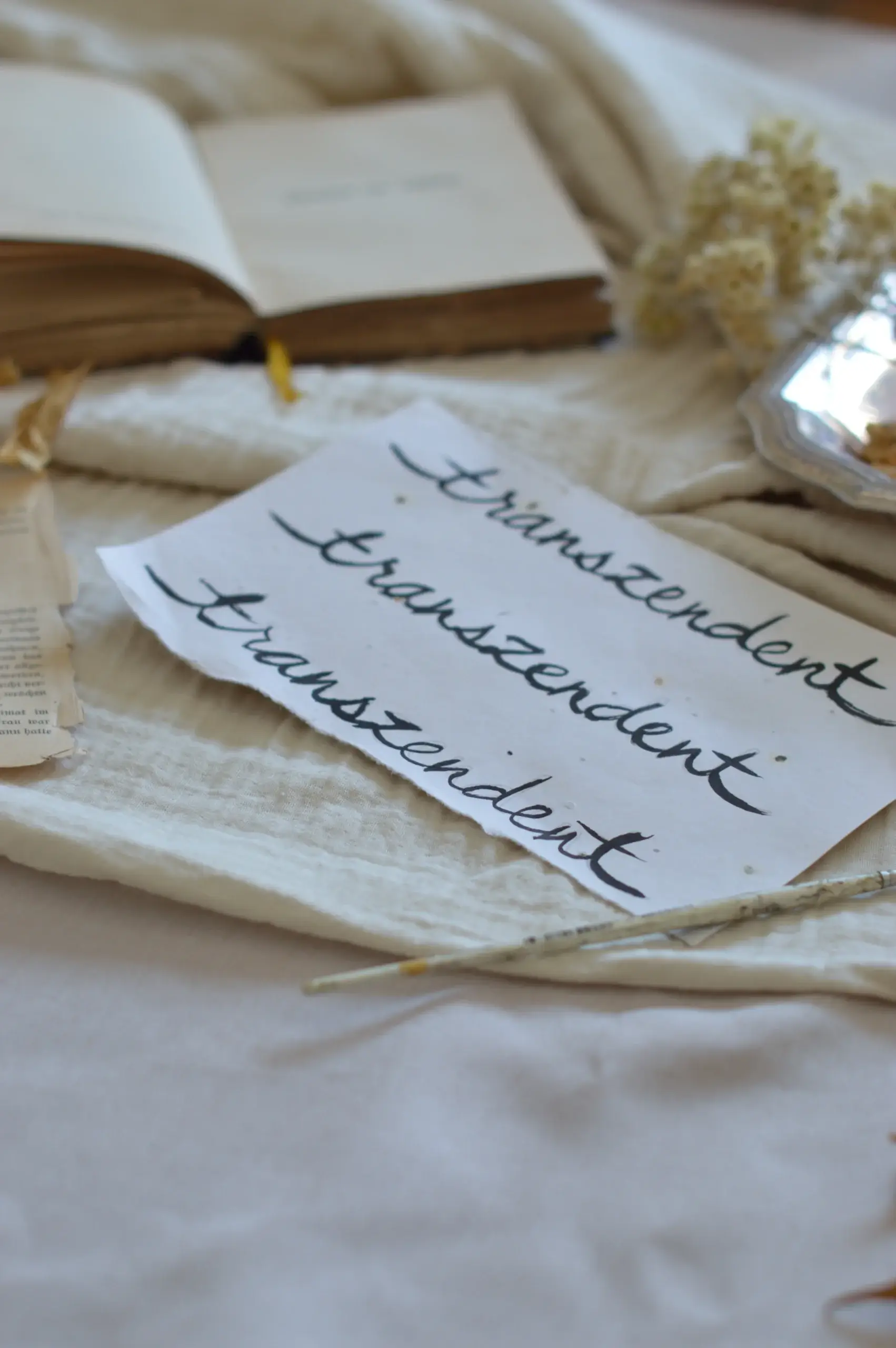 Drei kalligrafische, handgeschriebene Entwürfe des Wortes „transzendent“ in schwarzer Tinte auf weißem Papier. Das Papier liegt schräg auf einem hellen Tuch, daneben ein feiner Pinsel, ein aufgeschlagenes antikes Buch und Trockenblumen.