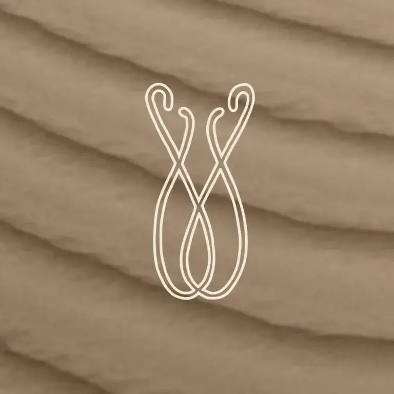 Das abstrakte, geschwungene Monogramm der Marke „transzendent“ als filigrane Linienzeichnung in der Markenfarbe Papyrus-Weiß. Das Logo-Element ist freistehend auf einem diagonal strukturierten Hintergrund im warmen Erdton Mocha Mouse platziert, der an sanfte Wellen, feine Sandstrukturen oder gerafften Stoff erinnert.