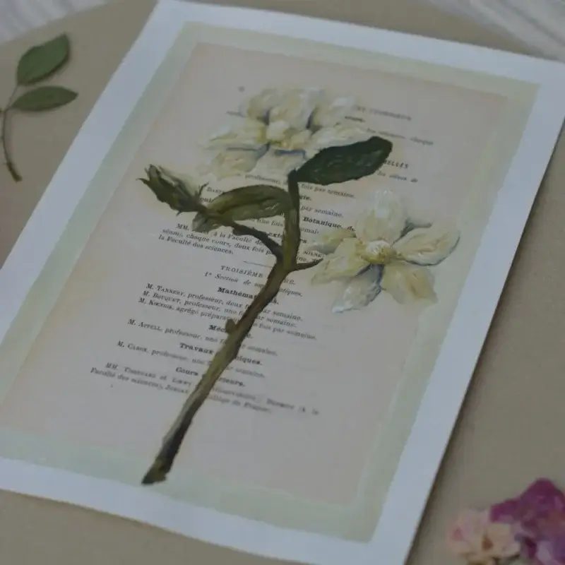 Ein originales Ölgemälde des lineativ studios, das direkt auf eine vergilbte, französische Buchseite gemalt wurde. Das Motiv zeigt detailreiche, cremeweiße Blüten mit realistisch schattierten, grünen Blättern und feinen Stängeln. Der gedruckte französische Text des Buches schimmert an den unbemalten Stellen und durch die transparenten Farbschichten hindurch. Das Bild liegt flach auf einer hellen Oberfläche.